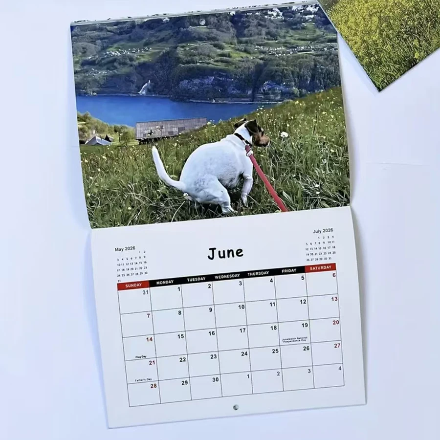 2026 Funny Dog Pooping Calendar - Monthly Planner with Humorous Dog-Themed Pooping & Barking Scenes, Cute Dog Calendar for Home, thumbnail 3