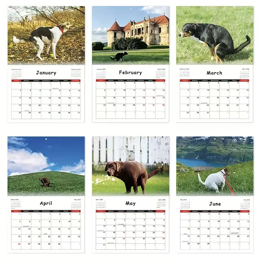 2026 Funny Dog Pooping Calendar - Monthly Planner with Humorous Dog-Themed Pooping & Barking Scenes, Cute Dog Calendar for Home, thumbnail 2