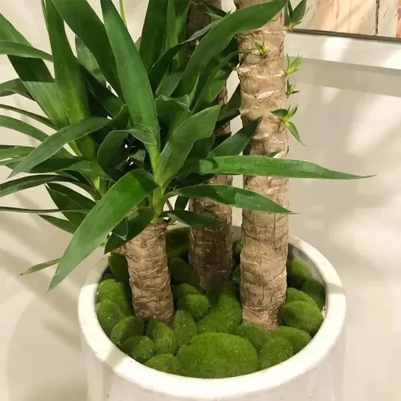 10Pcs Simulation Moss Stone Artificial Moss Rocks Ball Fake Green Plant for Home Garden Flower Pot Decoration Creative Crafts thumbnail 5