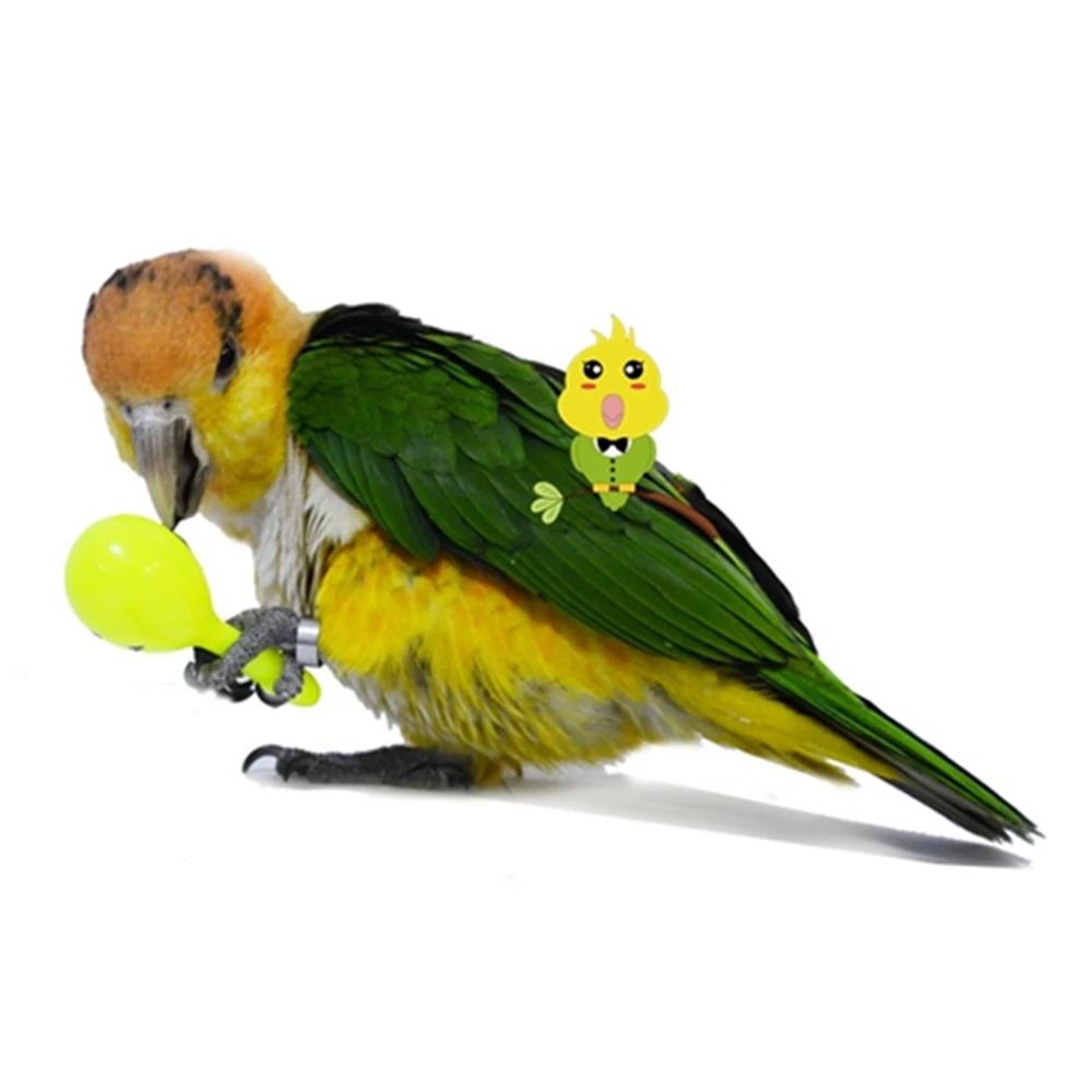 3pcs Bird Toys Parrot Rattle Bell Sand Hammer Maracas Bird Bite Wisdom Interactive Training Toy Pet Bird Toys Color Random thumbnail 2