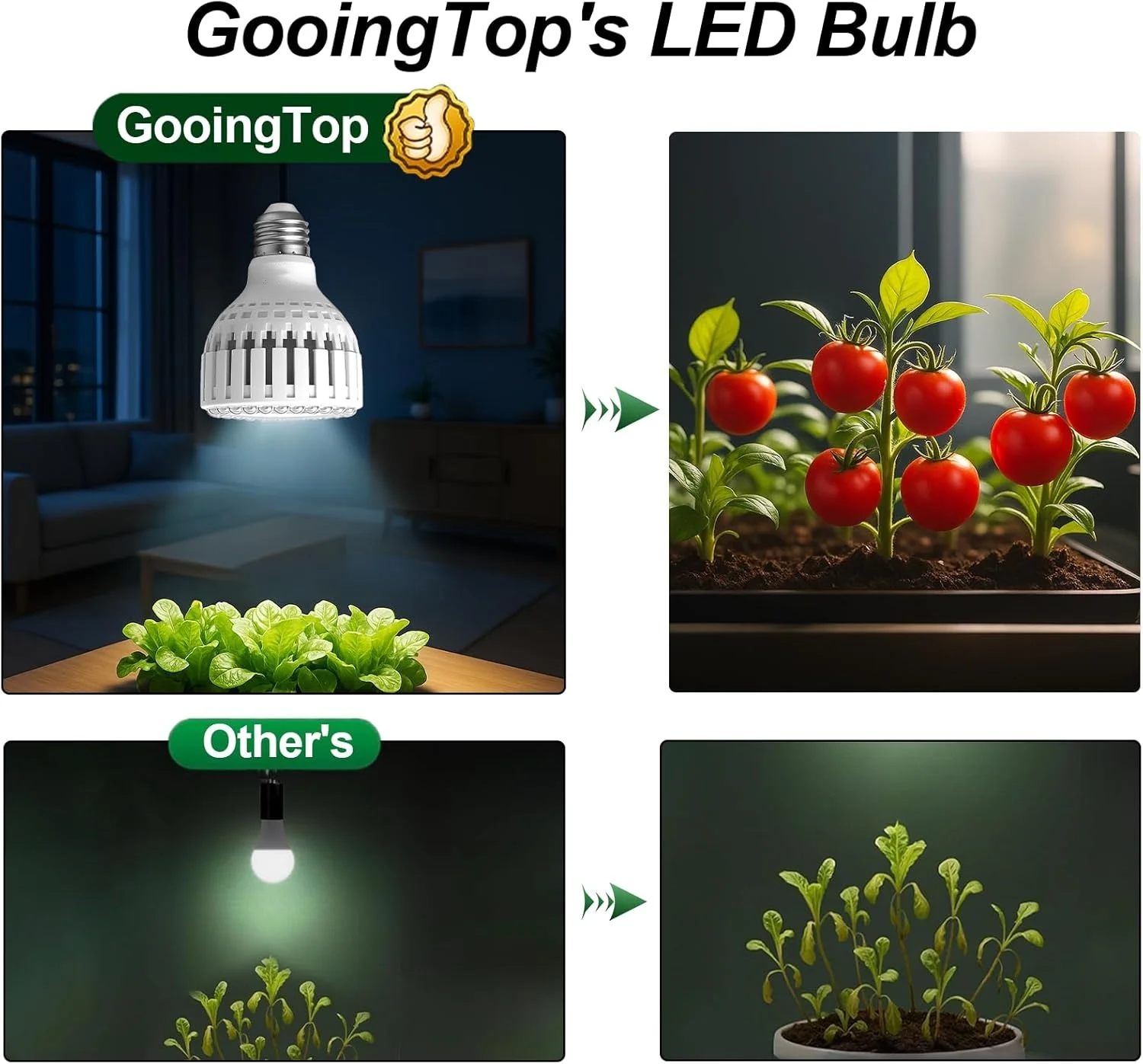 LED Grow Light Bulb 12W E26/E27 Indoor Growing Plant Lamp 110V/220V Full Spectrum Home Garden Inside Plant Growth Lighting thumbnail 5