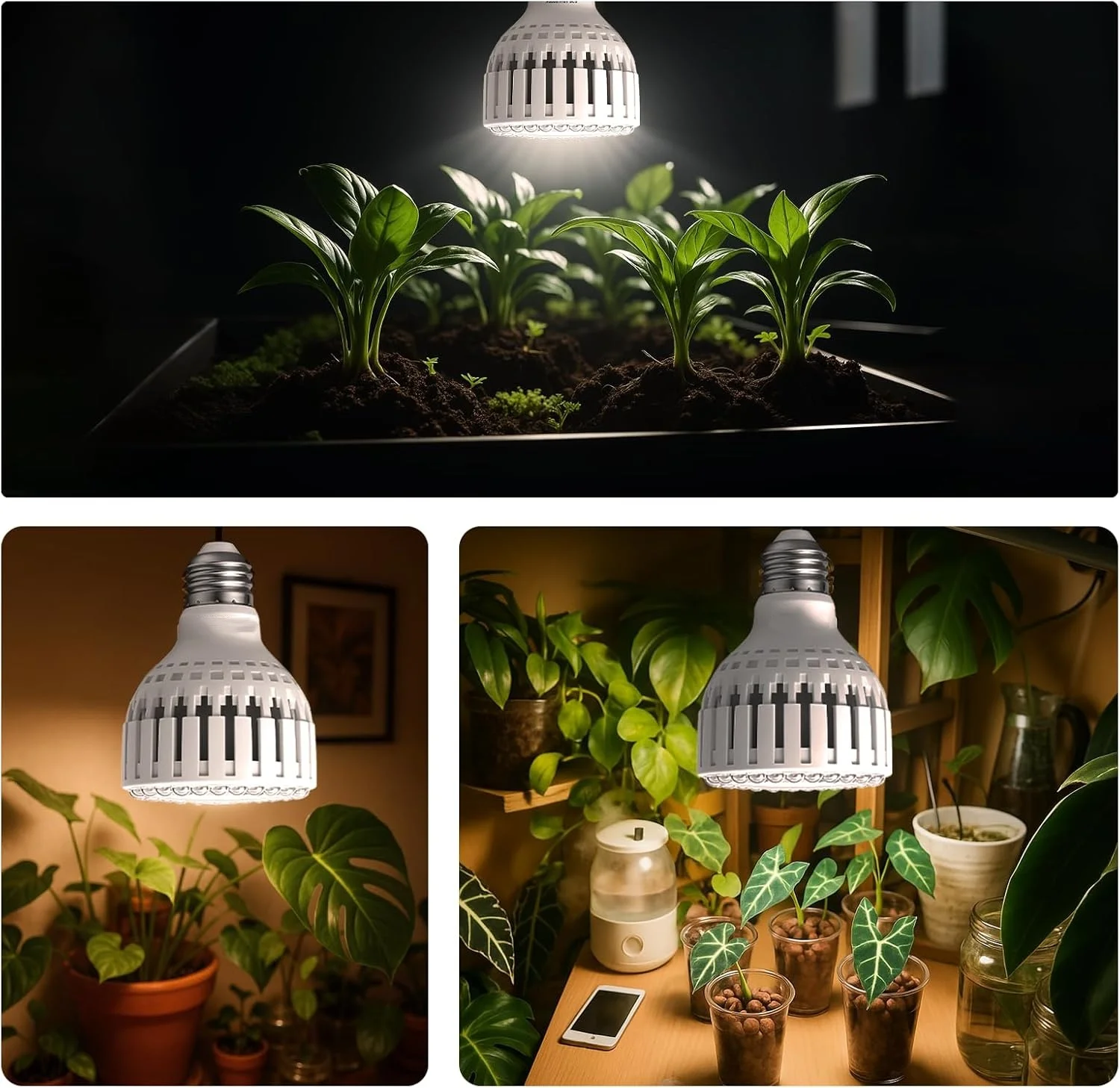 LED Grow Light Bulb 12W E26/E27 Indoor Growing Plant Lamp 110V/220V Full Spectrum Home Garden Inside Plant Growth Lighting thumbnail 6