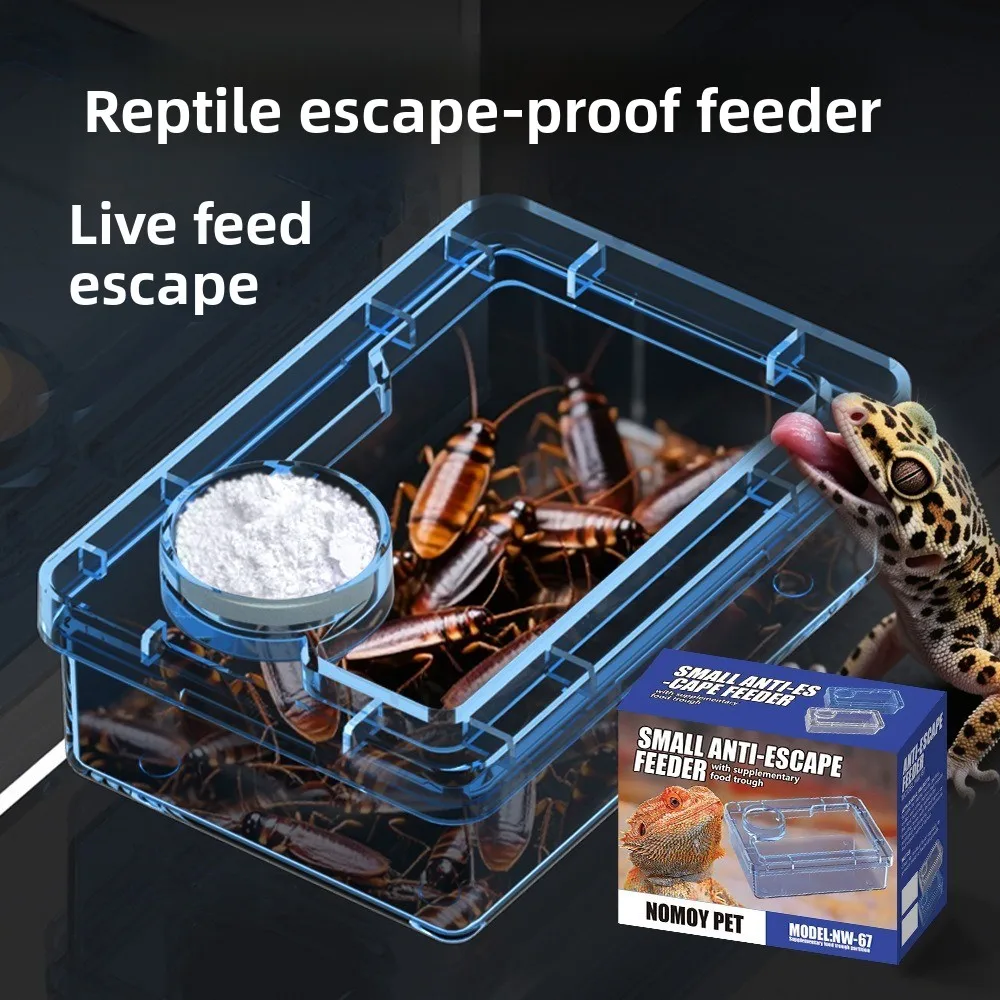 Reptile Lizards Geckos Feeding Bowls Prevent Tenebrio Molitor and Blaptica Dubia Anti Overturning Trough Feeder Transparent