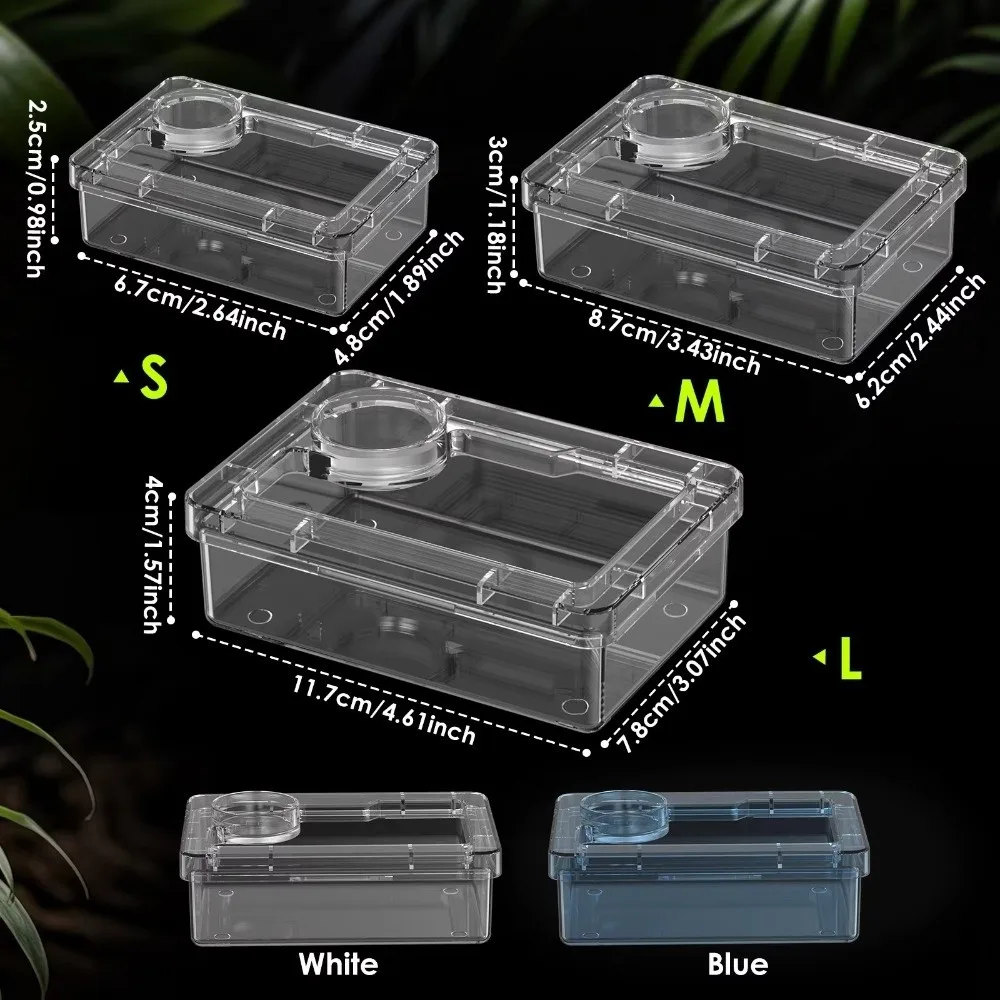 Reptile Lizards Geckos Feeding Bowls Prevent Tenebrio Molitor and Blaptica Dubia Anti Overturning Trough Feeder Transparent thumbnail 4