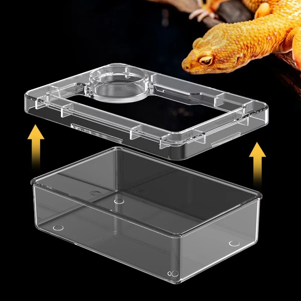 Reptile Lizards Geckos Feeding Bowls Prevent Tenebrio Molitor and Blaptica Dubia Anti Overturning Trough Feeder Transparent thumbnail 3