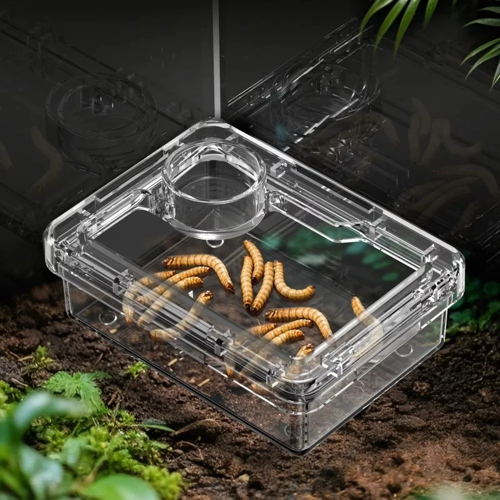 Reptile Lizards Geckos Feeding Bowls Prevent Tenebrio Molitor and Blaptica Dubia Anti Overturning Trough Feeder Transparent thumbnail 6