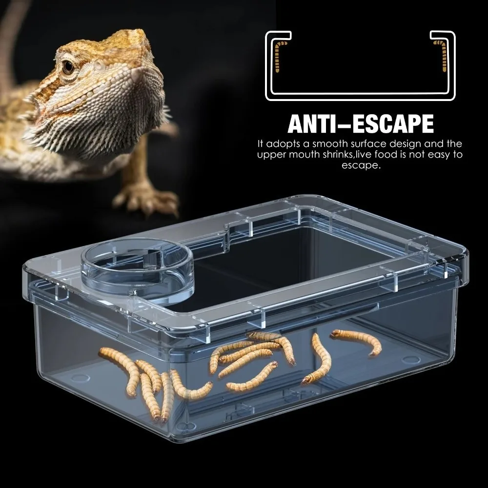 Reptile Lizards Geckos Feeding Bowls Prevent Tenebrio Molitor and Blaptica Dubia Anti Overturning Trough Feeder Transparent thumbnail 5