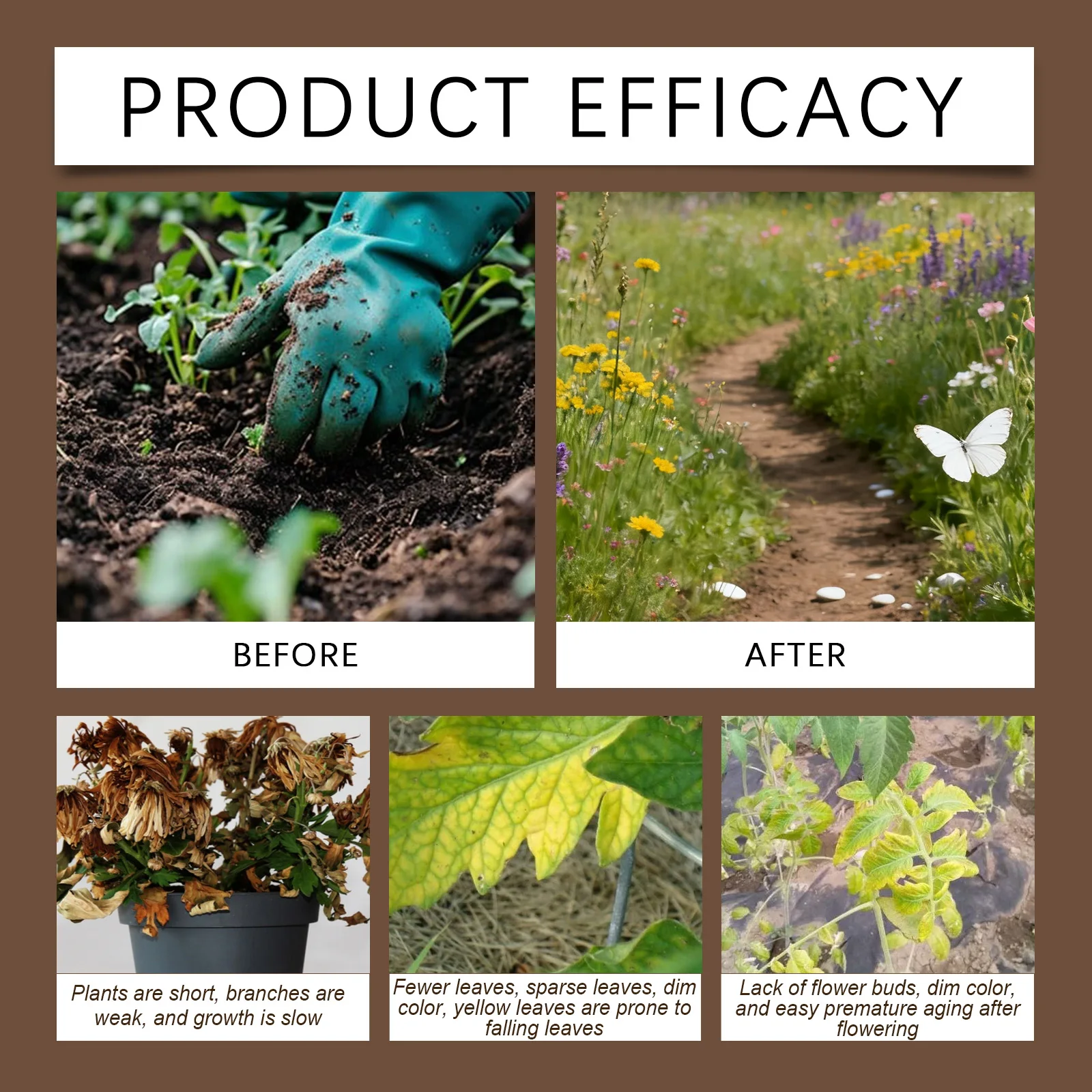 MoonSpry Root Protection Agent For Plants - Enhances Soil Breathability, Promotes Healthy Roots, Garden & Potted Plant Care thumbnail 6