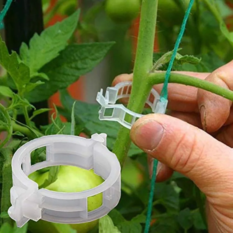 100/200/500 Plant Vine Clip, Support Garden Tying Clamp for Stem,Reusable Gardening Fixation Clips for Plants, Transparent thumbnail 2