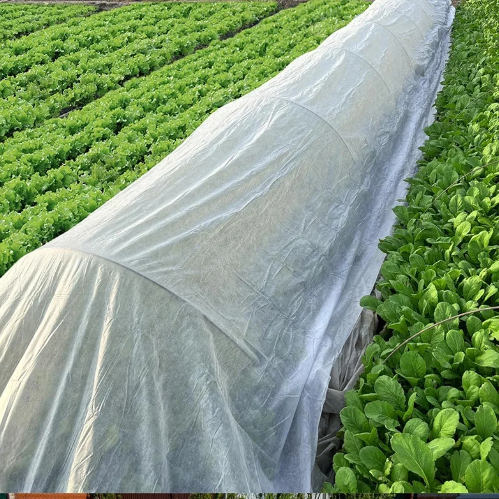 White Frost Protection Plant Covers 3x5m For Outdoor Garden Vegetables And Flowers Easy To Cut And Secure For Winter Freeze thumbnail 3