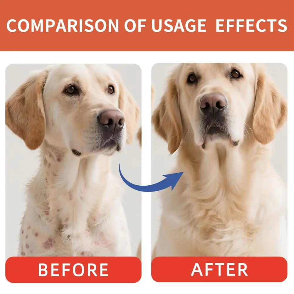 40g Dog Digestive Support Improved Digestion Supplement Natural Support Nutrition For Puppy Travel Wellness Pet Home Dogs thumbnail 5
