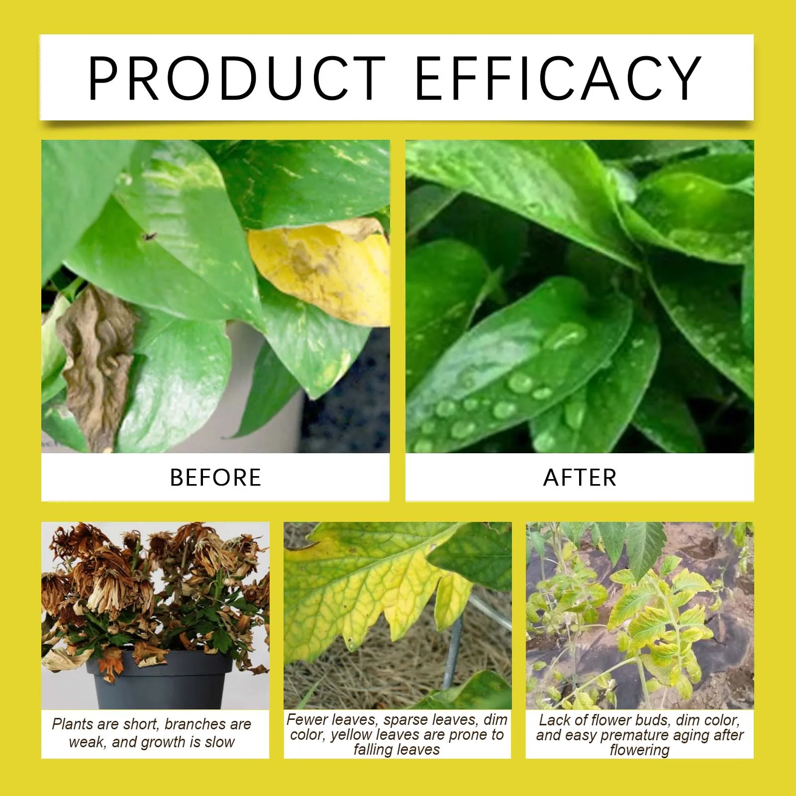 Soil Activator for Garden - All-Purpose Plant Fertilizer That Loosens Compacted Soil & Supplies Nutrients & Trace Elements thumbnail 3