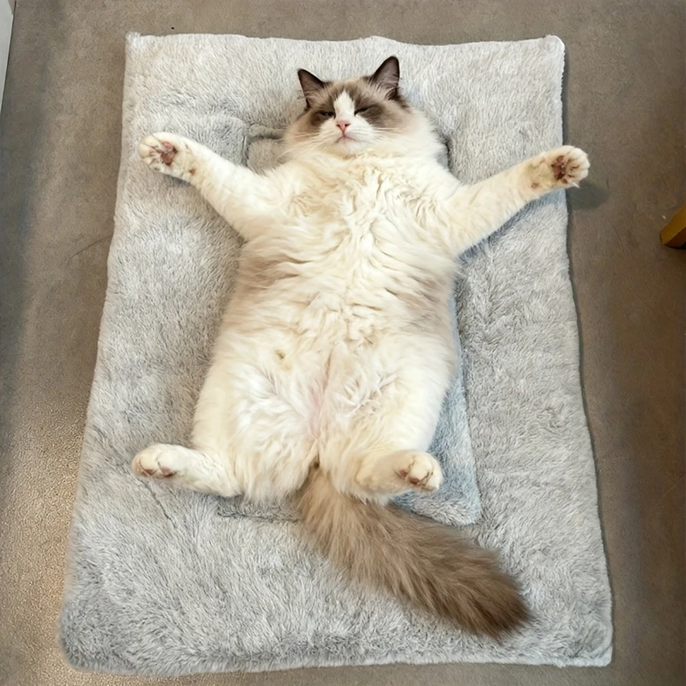 1 PC Warm Winter Reversible Plush Hamster Pad Ultra Soft Guinea Sleeping Mat Pet Bed Mat for Small Animals Kitty Rabbit Squirrel thumbnail 5
