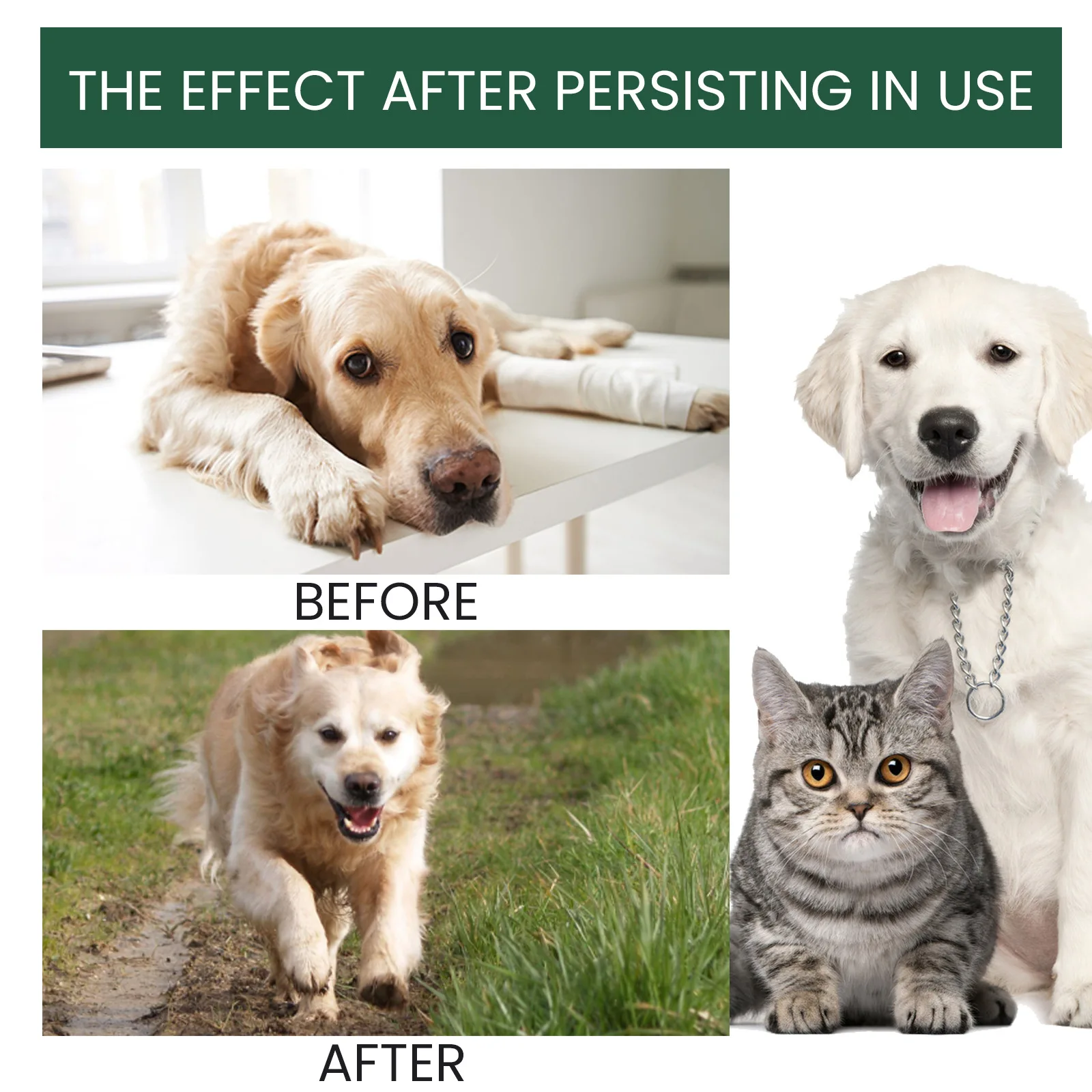 Dog Joint Care Drops Hip Joint Supplement Relieve Joint Discomfort Repair Bone Deformity Heal Arthritis Pet Bone Care Solution thumbnail 4