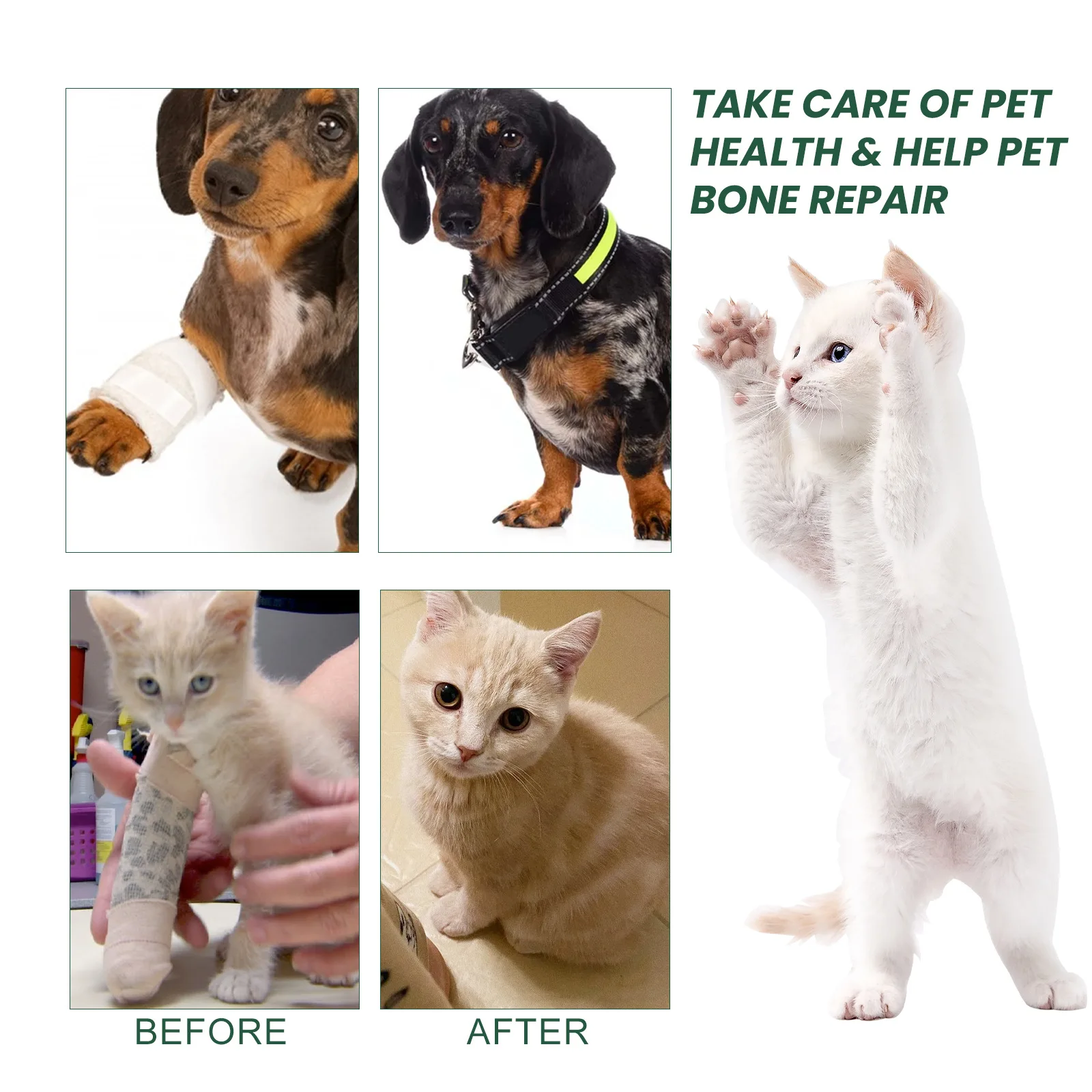 Dog Joint Care Drops Hip Joint Supplement Relieve Joint Discomfort Repair Bone Deformity Heal Arthritis Pet Bone Care Solution thumbnail 3