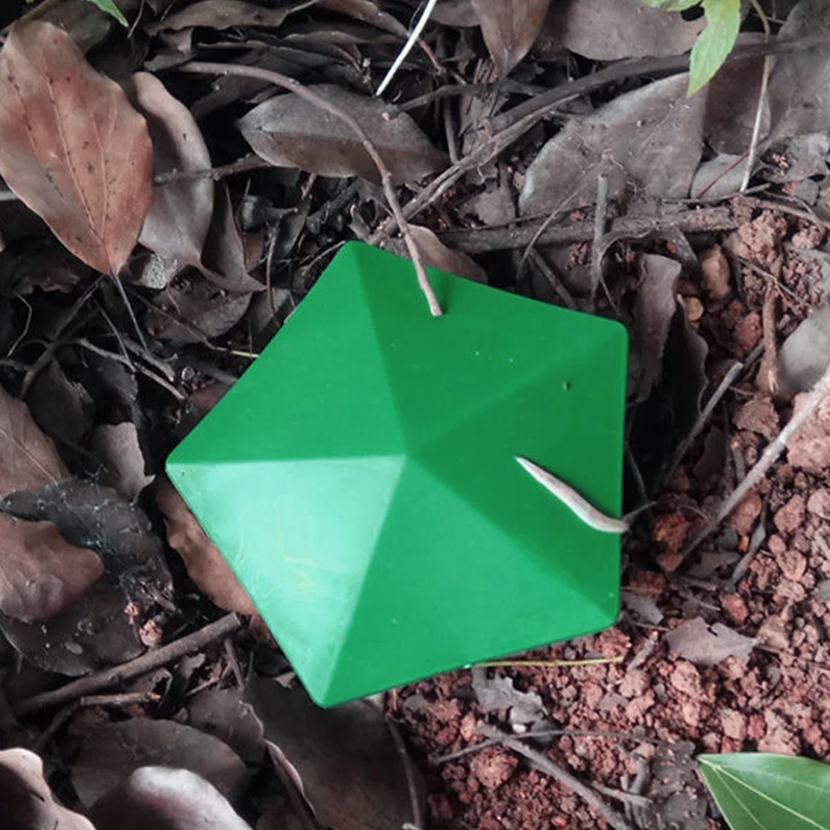 Plastic Cage Snail Trap Catcher Garden Slug Cage Reusable Pests Bait Station Tools Garden Farm Protector Tools Garden Accessorie thumbnail 6