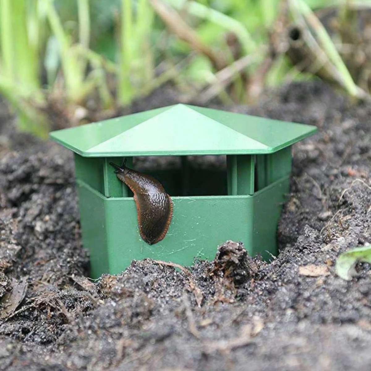 Plastic Cage Snail Trap Catcher Garden Slug Cage Reusable Pests Bait Station Tools Garden Farm Protector Tools Garden Accessorie thumbnail 4