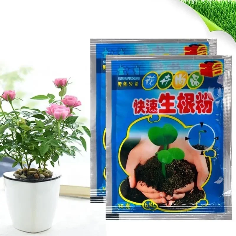 Fast-Acting Rooting Powder with Fungicide for Succulents, Bulbs, Roses & Cuttings - All-Purpose Plant Starter for Transplanting thumbnail 3