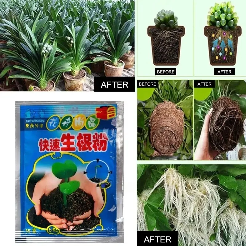 Fast-Acting Rooting Powder with Fungicide for Succulents, Bulbs, Roses & Cuttings - All-Purpose Plant Starter for Transplanting thumbnail 2
