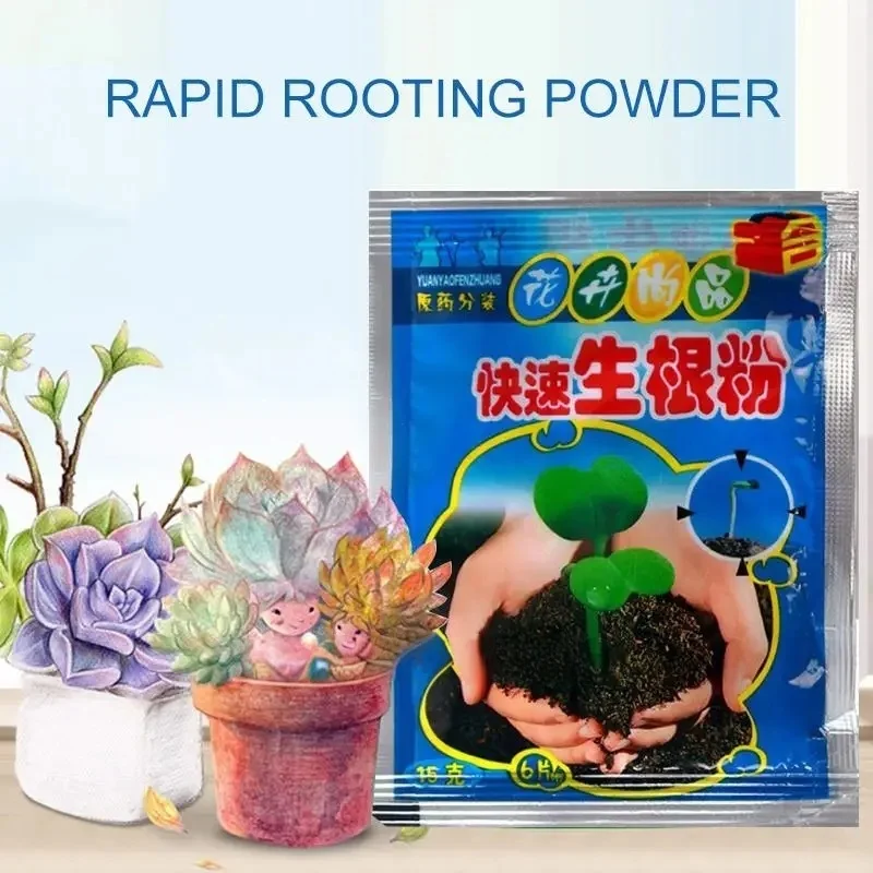 Fast-Acting Rooting Powder with Fungicide for Succulents, Bulbs, Roses & Cuttings - All-Purpose Plant Starter for Transplanting thumbnail 4