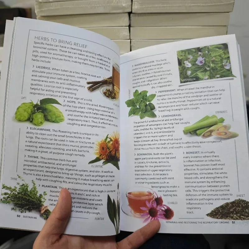 2026Sustain Me The 9 Foundational Pillars for Health Guide Book A Handbook of Natural Remedies in English Paperback thumbnail 2