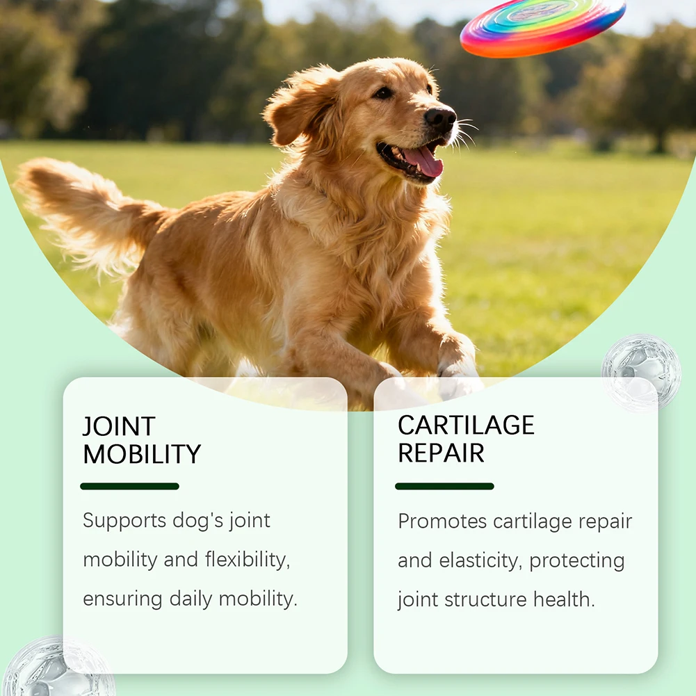 200g Dog Joint Supplement Soft Chews For Senior Dogs Natural Dog Joint Support For Improved Mobility For Senior Dogs thumbnail 3