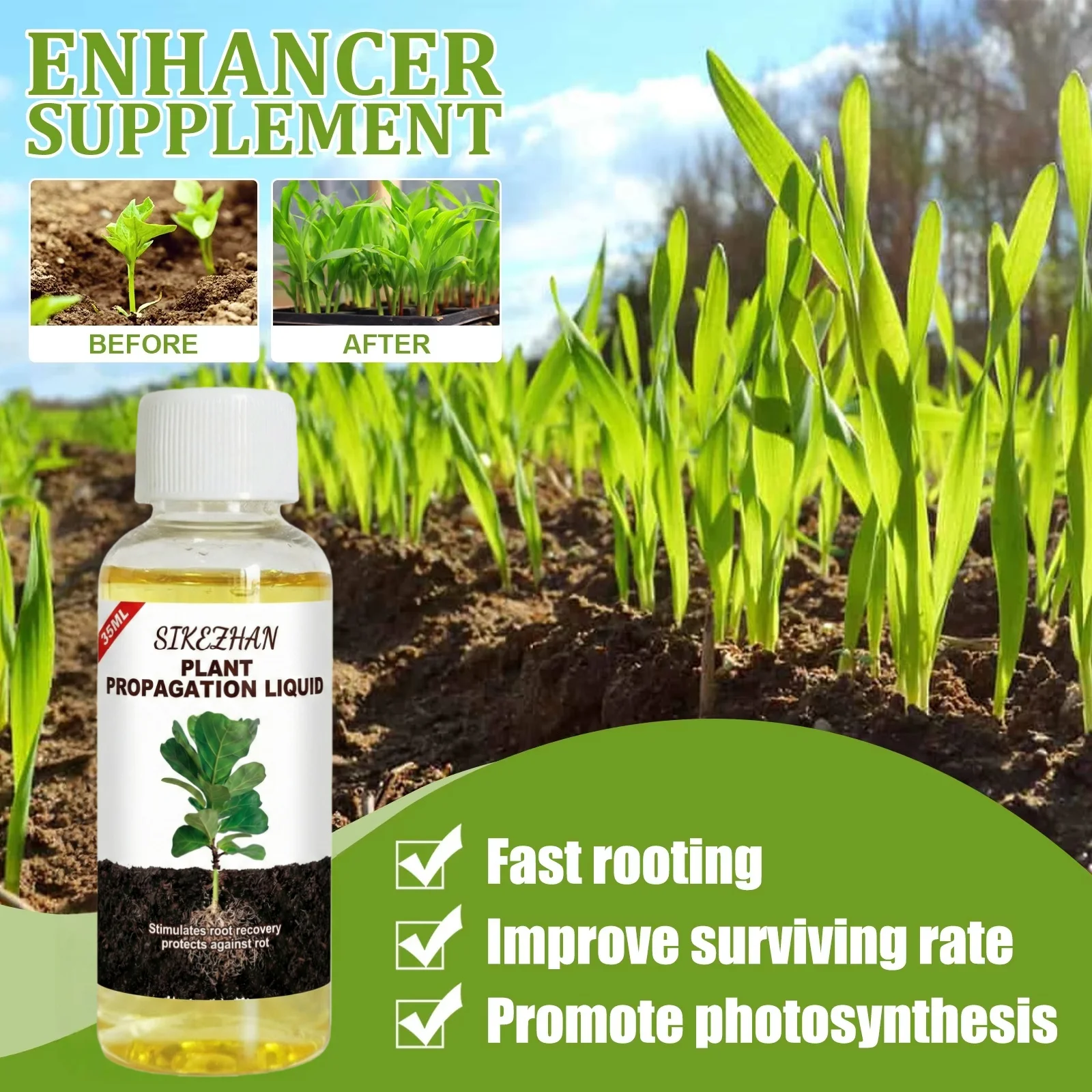 Rapid Rooting Liquid Hormone for Plants Propagation Solution Promote Root Growth Fertilizer Recovery for Struggling Houseplants thumbnail 3