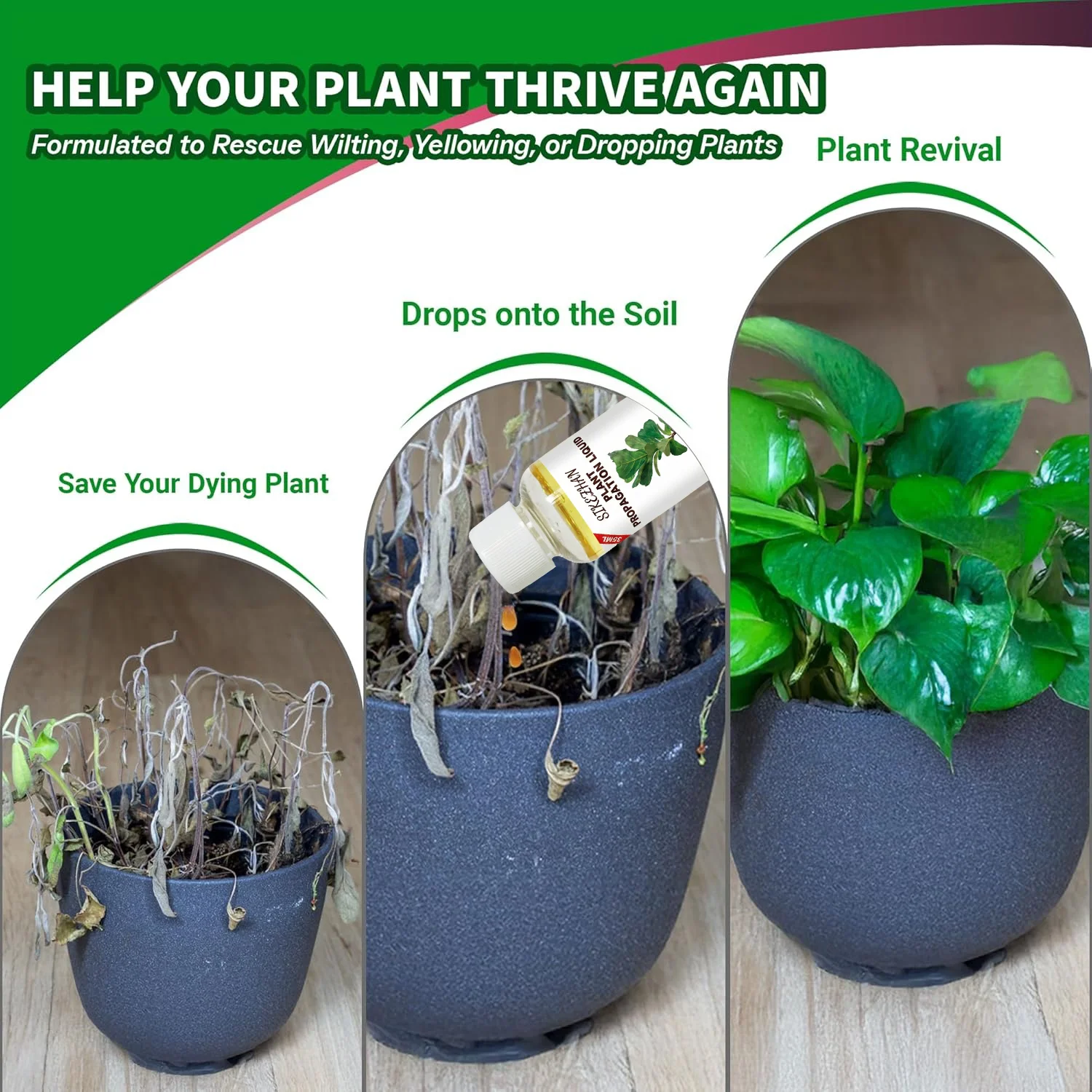 Rapid Rooting Liquid Hormone for Plants Propagation Solution Promote Root Growth Fertilizer Recovery for Struggling Houseplants thumbnail 4