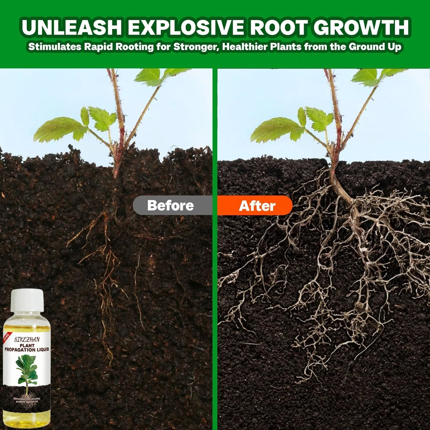 Rapid Rooting Liquid Hormone for Plants Propagation Solution Promote Root Growth Fertilizer Recovery for Struggling Houseplants thumbnail 5