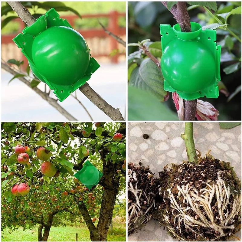 Plant Rooting Ball Gardening Supplies High Pressure Propagation Root Growing Box Cutting Grafting Ball Breeding Equipment TMZ thumbnail 4