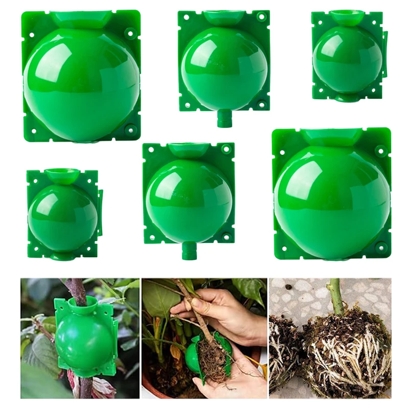 Plant Rooting Ball Gardening Supplies High Pressure Propagation Root Growing Box Cutting Grafting Ball Breeding Equipment TMZ thumbnail 5