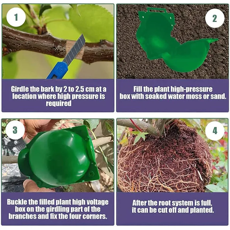 Plant Rooting Ball Gardening Supplies High Pressure Propagation Root Growing Box Cutting Grafting Ball Breeding Equipment TMZ thumbnail 6