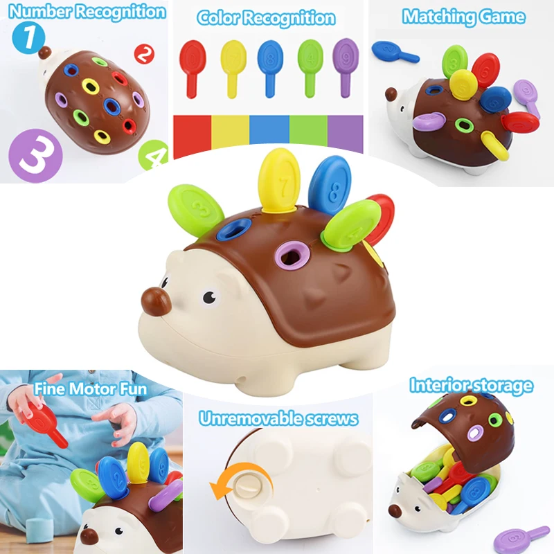 Hedgehog Montessori Fine Motor Toys Educational Toy for Toddlers Learning Counting & Training Develop Concentration Sensory Gift thumbnail 2