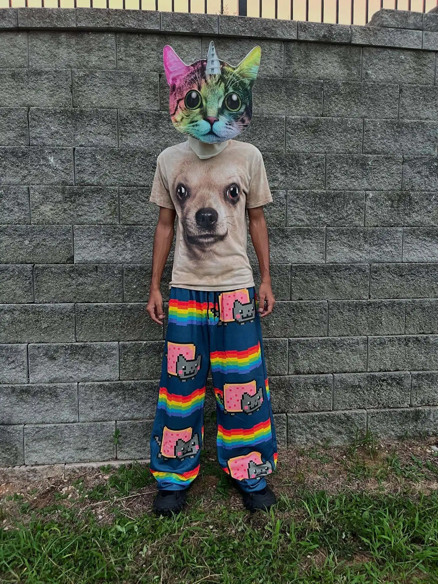 Nyan Cat Sweatpants Y2k Pants Baggy Men Elastic Waist American Streetwear Hip Hop Vintage Joggings Casual Pants Men Clothing thumbnail 5