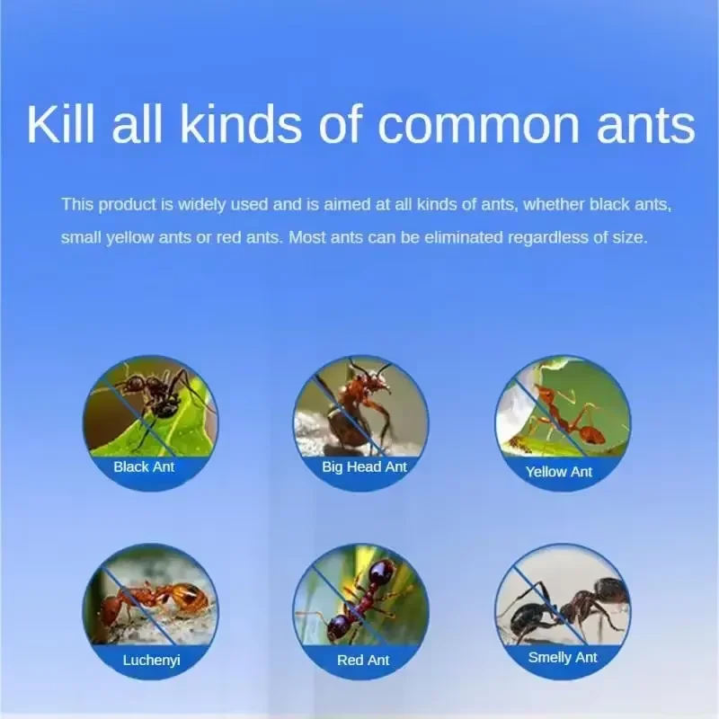 Effective Killing Cockroach Bait Powder Home Use Cockroach Roach Killer Anti Pest Reject Pest Control Traps thumbnail 5
