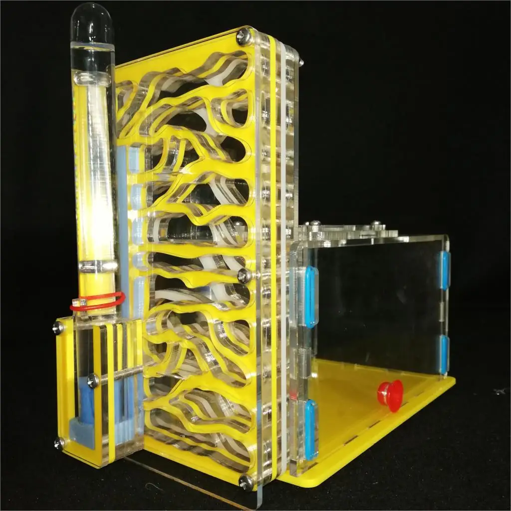 T design DIY  with feeding area ant nest ,ant farm acryl,insect ant nests villa pet mania for house ants