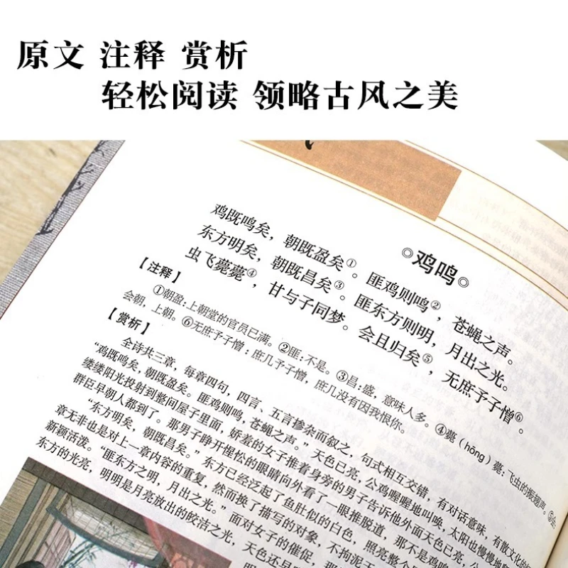 Colorful Illustrations of The Complete Collection of The Book of Songs, Classic Books on Chinese Studies of The Book of Songs thumbnail 2