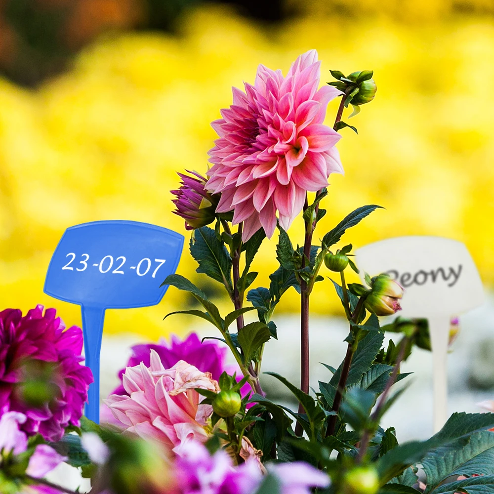 Bending Large Plant Labels Garden Outdoor Tall Classification Sign for Tree Shrub Greenhouse Vegetables Seedling Writable Tags thumbnail 6