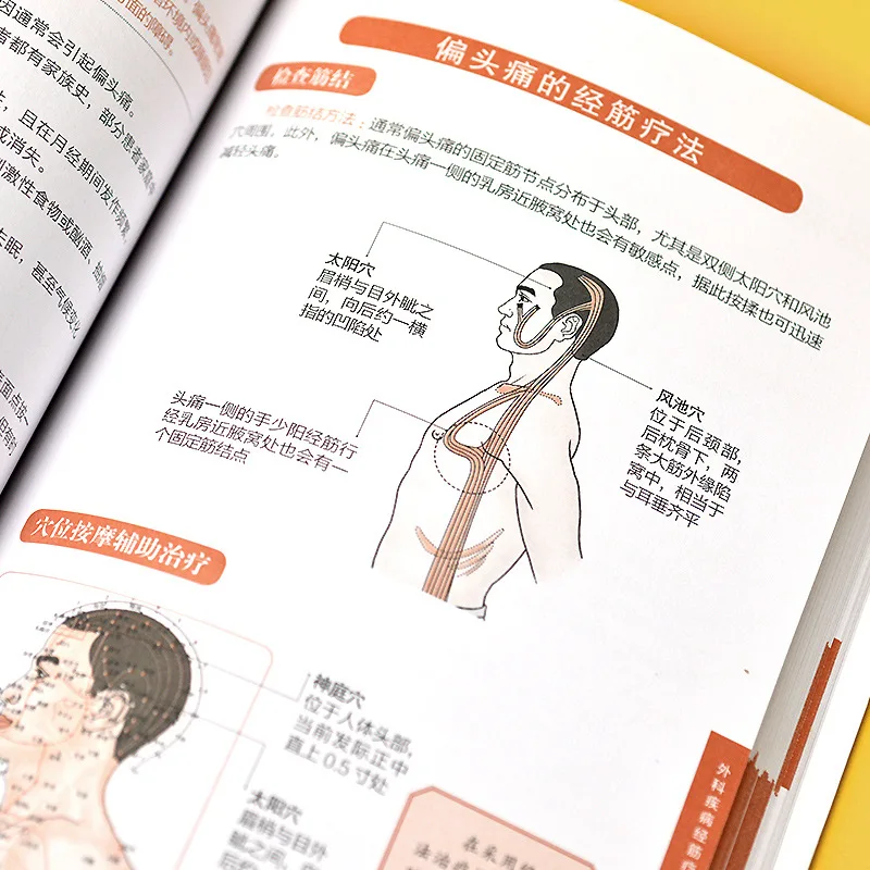 Illustrated Twelve Meridians Tendon Regulation Atlas Series Recipes, Acupuncture and Moxibustion Massage Health Book thumbnail 3