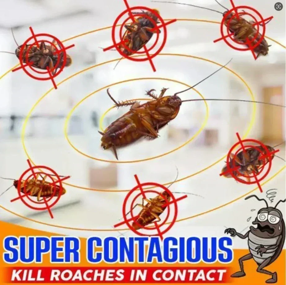 5-20PCS Powerful Cockroach Bait Powder | Roach Nest Eliminator | Non-Toxic Pest Control Trap | Home Kitchen Anti Cockroach thumbnail 2
