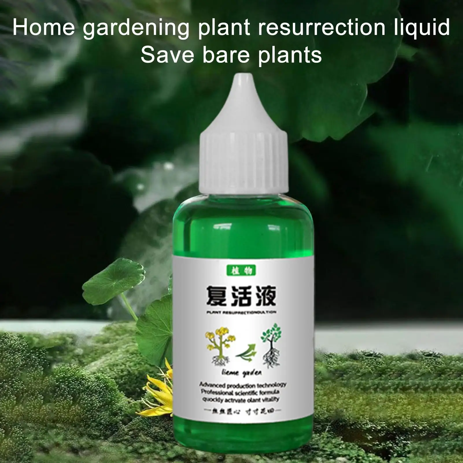 50ml Plant Nutrient Solution Plant Resurrection Liquid Fertilizer Household Gardenia and Orchid Fertilizer for Fast Growth thumbnail 6