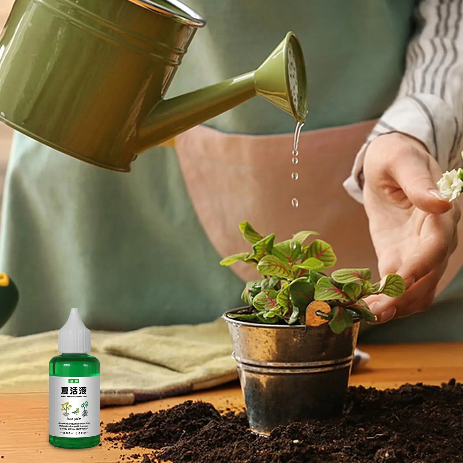 50ml Plant Nutrient Solution Plant Resurrection Liquid Fertilizer Household Gardenia and Orchid Fertilizer for Fast Growth thumbnail 3