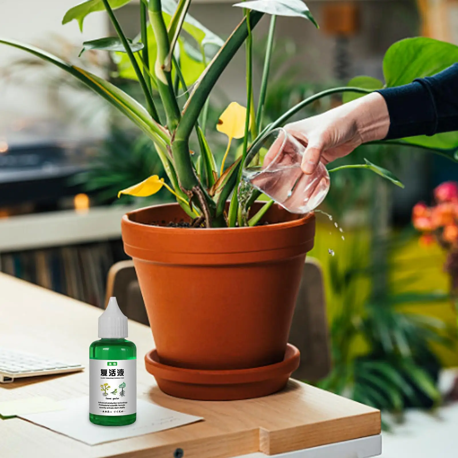 50ml Plant Nutrient Solution Plant Resurrection Liquid Fertilizer Household Gardenia and Orchid Fertilizer for Fast Growth thumbnail 4