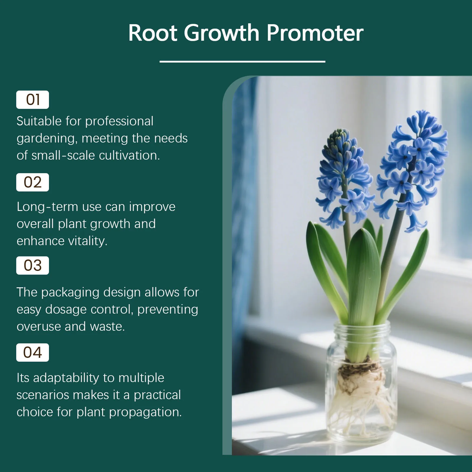 Plant Rooting Powder Garden Greenery Flower Root Enhancer Soil Nutrient Booster Rapid Root Development Healthy Nutrition 200g thumbnail 6