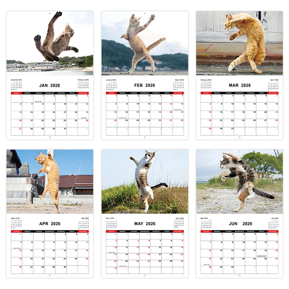 2026 Wall Calendar 12-Month Calendar Monthly Planner Funny Animal Calendar for Office School Home thumbnail 5