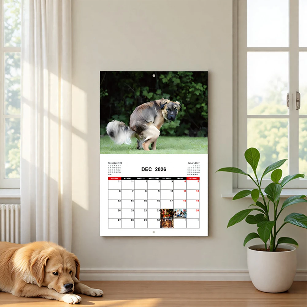 2026 Wall Calendar 12-Month Calendar Monthly Planner Funny Animal Calendar for Office School Home thumbnail 3