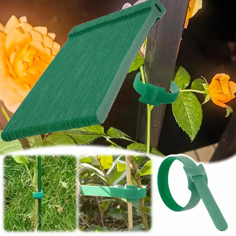 100pcs Reusable Adjustable Non-Slip Nylon Plant Ties with Hook and Loop Fasteners, Ideal for Gardening Applications thumbnail 4