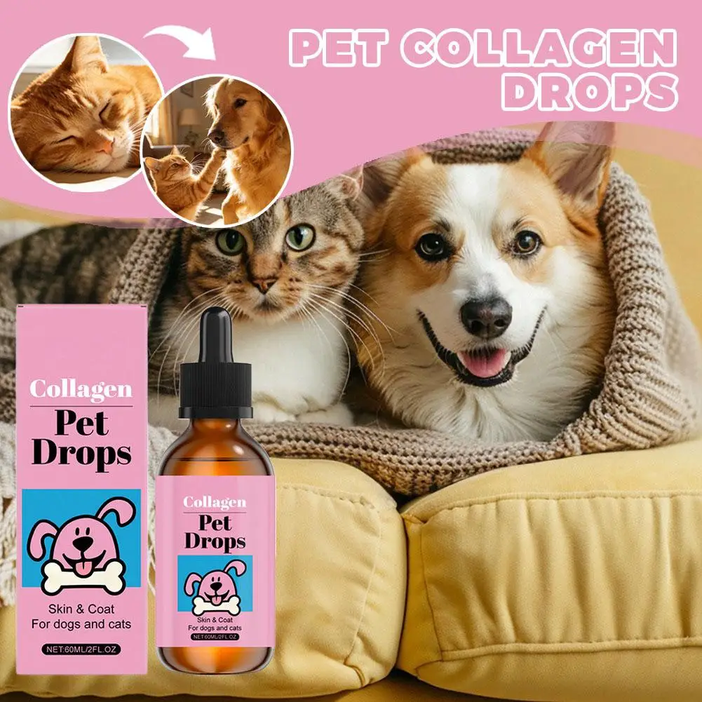 Pet Collagen Drops Gentle Formula Coat Skin Care Main Dietary Supplement Pet Cleaning Supplies Health Care Accessory