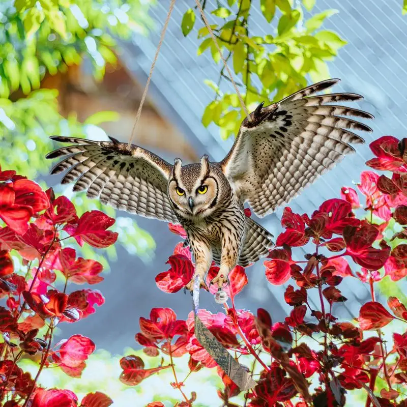 New Waterproof Bird Scarer Simulation Owl Bird Repellent Pest Control Artificial Scarecrow With Reflective thumbnail 4