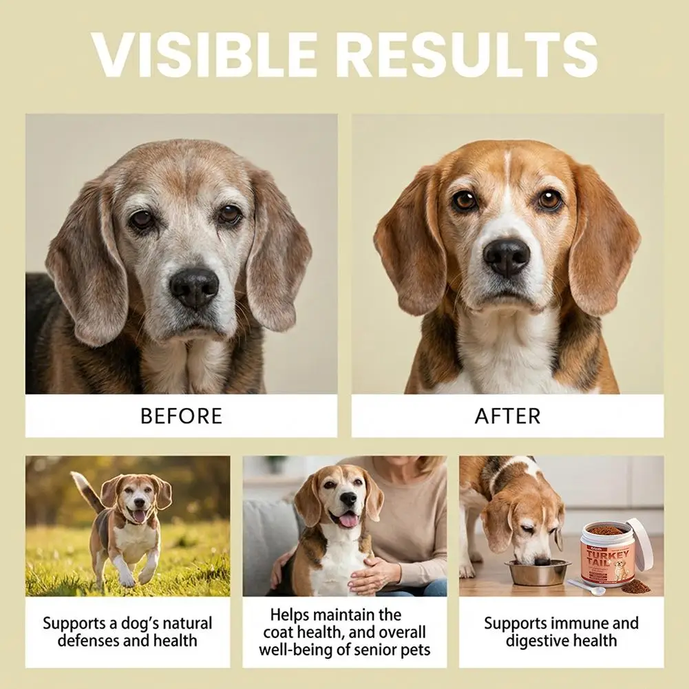100g Dog Immune Support Supplement – Daily Immunity Defense, Promotes Healthy Immune System Function for Breeds, Easy-Mix Powder thumbnail 5